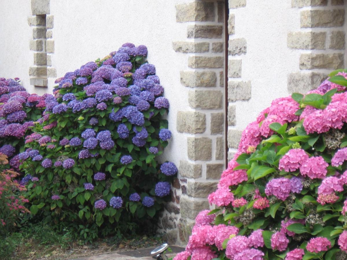 Perrault Gites Loscouet-sur-Meu エクステリア 写真