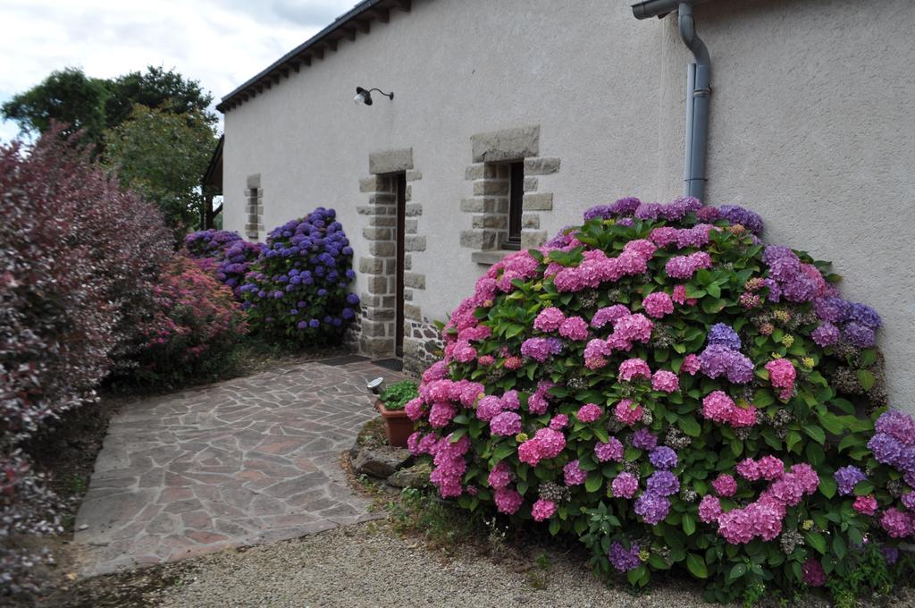 Perrault Gites Loscouet-sur-Meu エクステリア 写真
